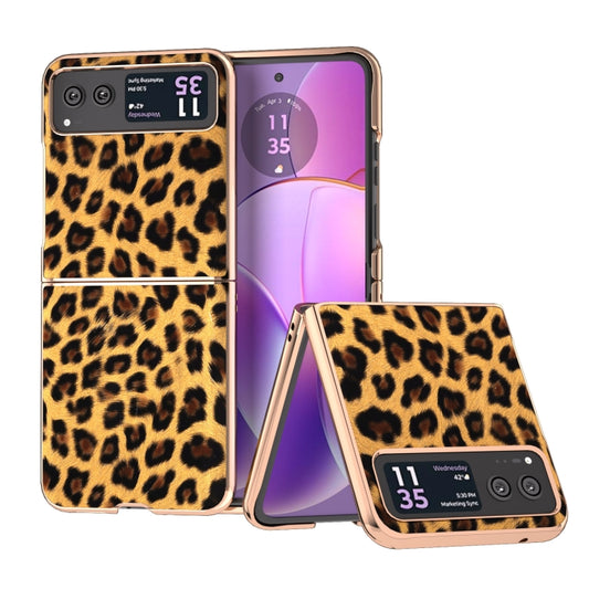 For Motorola Razr 40 Nano Plating Leopard Print Phone Case(Gold) - Motorola Cases by buy2fix | Online Shopping UK | buy2fix