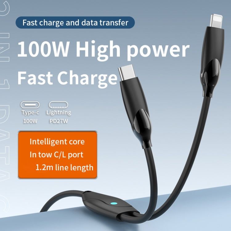 1.2m 100W USB-C / Type-C to USB-C / Type-C + 8 Pin Fast Charging Data Cable(Black) - 2 in 1 Cable by buy2fix | Online Shopping UK | buy2fix