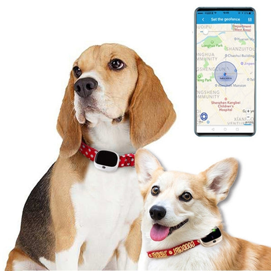 RF-V43 B Style IP67 Waterproof GPS + LBS + WiFi Pet Locator Pet Collar Tracking Device For North America/South America(White) - Pet Tracker by buy2fix | Online Shopping UK | buy2fix