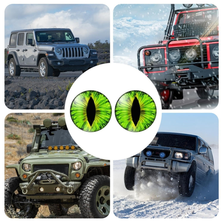 1pair Beast Eyes Headlight Decorative Stickers Off-Road Vehicle Front Lights Stereo Decals, Style: 29 - Lamp Decoration by buy2fix | Online Shopping UK | buy2fix