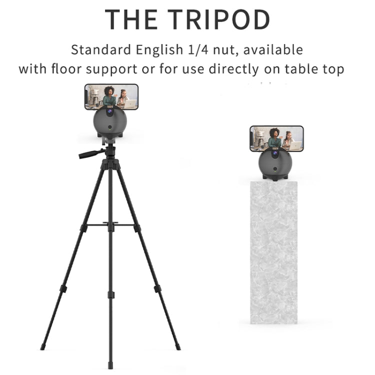 Q9 Al Gesture Recognition Two Axis Follow-up Cloud Platform(Gun Metal) - Tripod Heads by buy2fix | Online Shopping UK | buy2fix