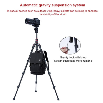 TRIOPO K2508S+B1S Adjustable Portable  Aluminum Alloy Tripod with Ball Head for SLR Camera(Black) - Camera Accessories by TRIOPO | Online Shopping UK | buy2fix