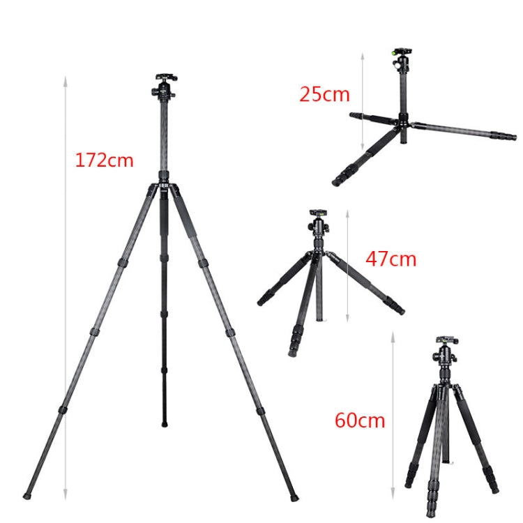 BEXIN W284C H36 Carbon Fiber Professional Photo Tripod for DSLR Camera - Camera Accessories by BEXIN | Online Shopping UK | buy2fix
