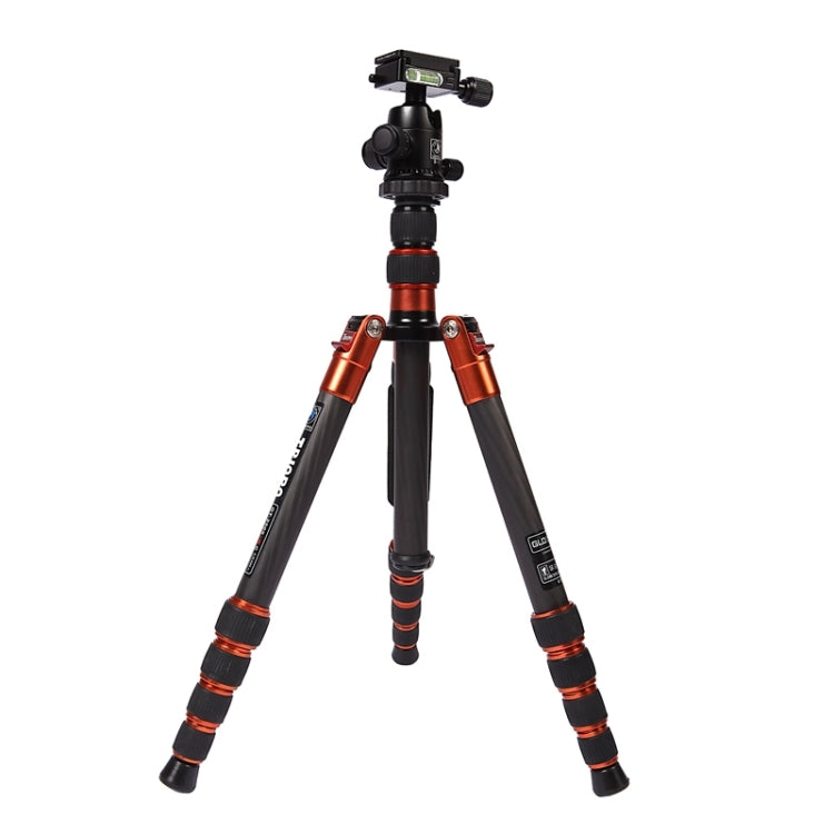 Triopo GT-2505x8.C Adjustable Portable Carbon Fiber Tripod with B-1 Aluminum Ball Head for Canon Nikon Sony DSLR Camera(Black) - Camera Accessories by TRIOPO | Online Shopping UK | buy2fix