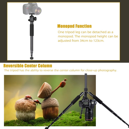 YUNTENG VCT-190 Aluminum Tripod Mount Monopod with Ball Head - Tripods by YUNTENG | Online Shopping UK | buy2fix