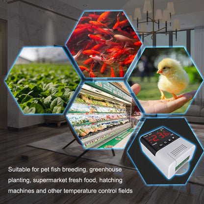 DTC-1201 NTC Sensor WiFi Intelligent Aquarium Fish Tank Hatch Central Air Conditioning Temperature Controller - Thermostat & Thermometer by buy2fix | Online Shopping UK | buy2fix