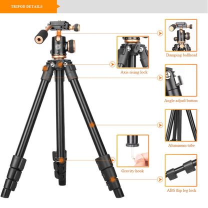 Q160s 4-Section Folding Legs Live Broadcast Aluminum Alloy Tripod Mount with Damping Tripod Ball-Head - Camera Accessories by buy2fix | Online Shopping UK | buy2fix