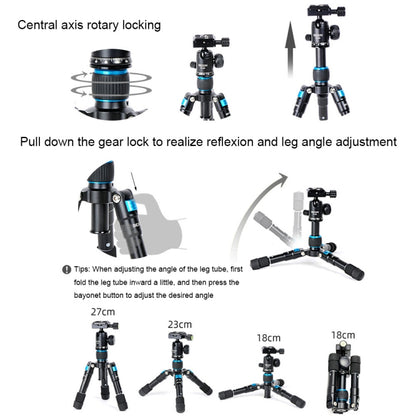 BEXIN V30 Adjustable Aluminum Alloy Desktop Camera Tripod Mini Portable Folding Live Tripod(MS08-S) - Tripods by BEXIN | Online Shopping UK | buy2fix